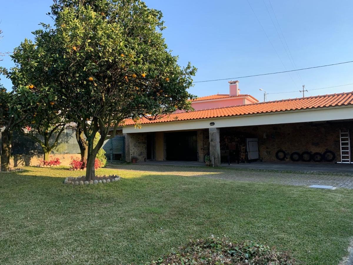 Jardim amplo com árvore centenária e casa ao fundo