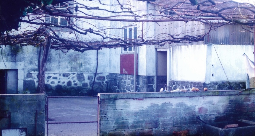 Fotografia antiga do pátio da casa coberto pela latada de vinha e muros de pedra