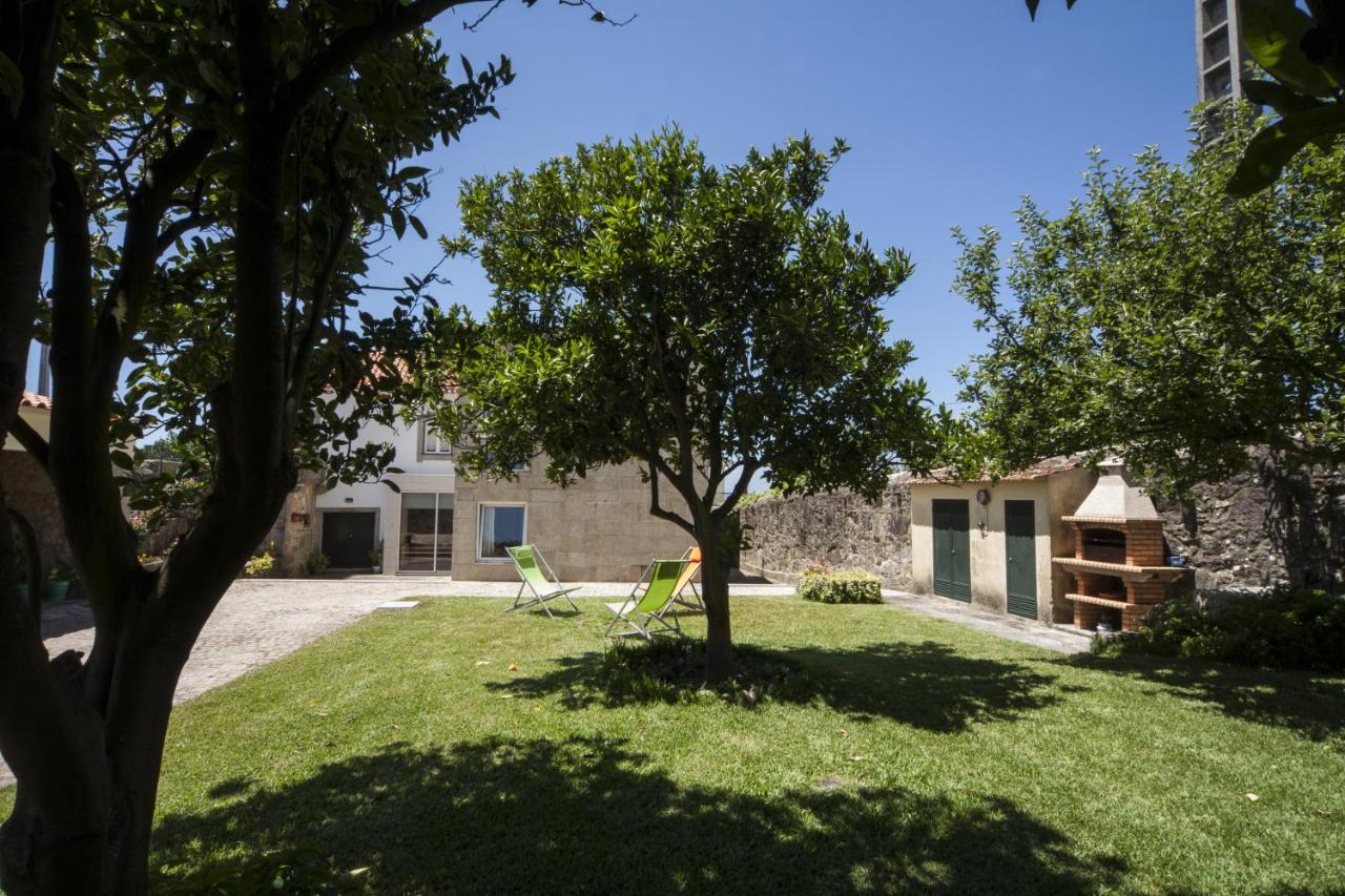 Grande árvore no jardim com anexos rurais em pedra ao fundo